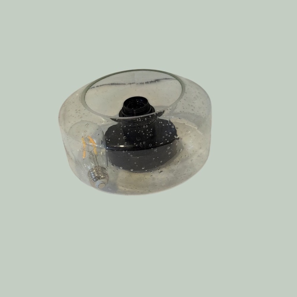 Modern Seeded Clear Glass Flush Mount Ceiling Light Black Base LED Bulb New
